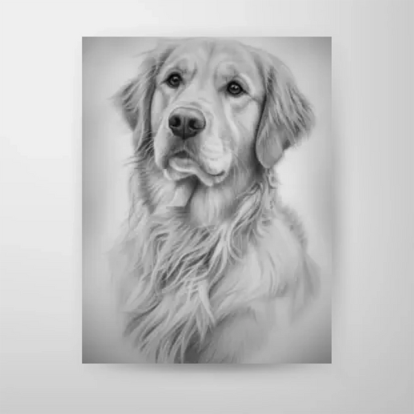 Poster-16″ x 20_ - No frame